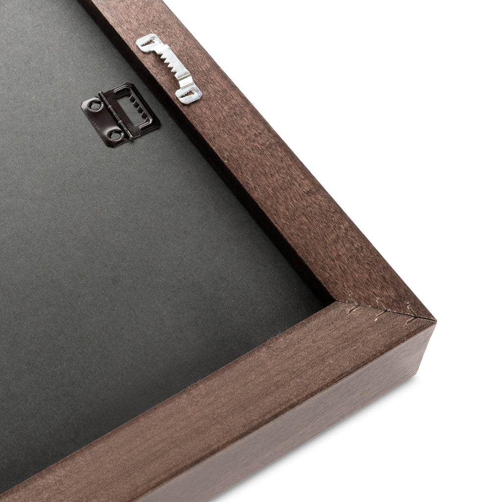 Lion with Pink Mane Gallery Canvas Wraps, Horizontal Frame