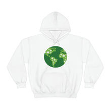Load image into Gallery viewer, Unisex Heavy Blend™ Hooded Sweatshirt
